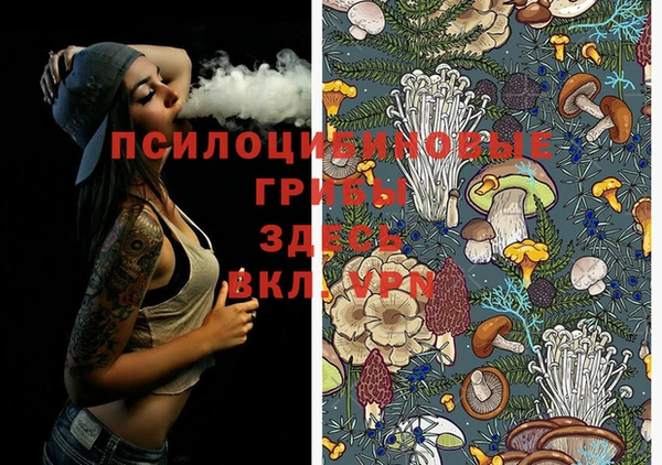 гидропоника Алексеевка