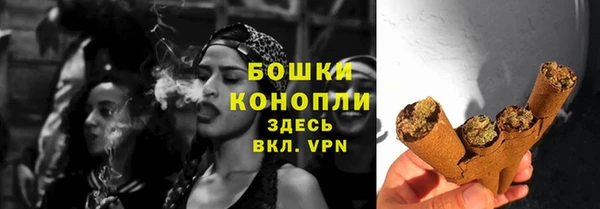 СК Краснослободск