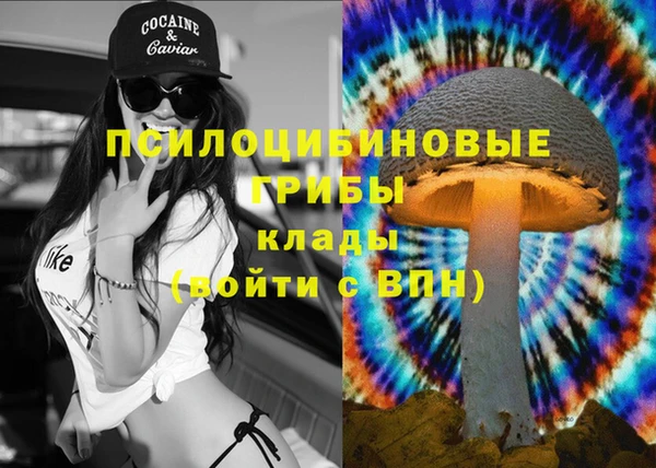 героин Алзамай