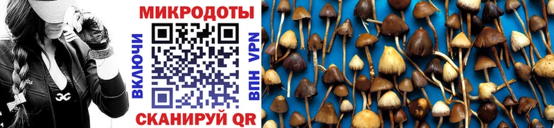 Галлюциногенные грибы Psilocybe  купить  цена  Петрозаводск 